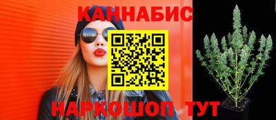 гидропоника Бугуруслан